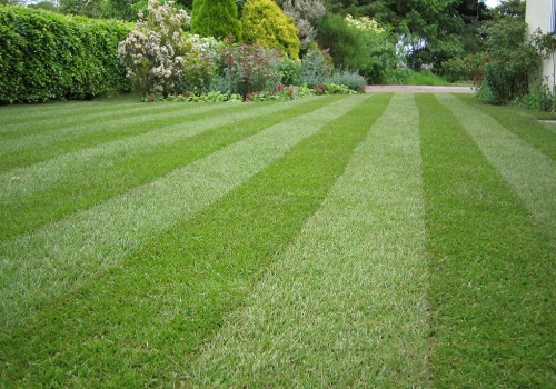 Perfecting Your Lawn: Grass Services In Pembroke Pines After Land Surveying